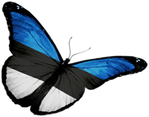 🦋