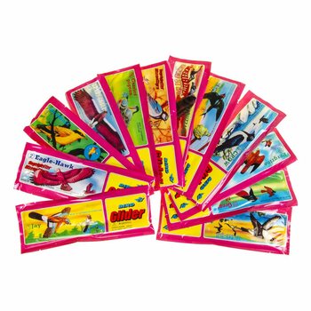 Vahtplastist lennukid &bdquo;Linnud&ldquo; esitluskarbis (48 tk)