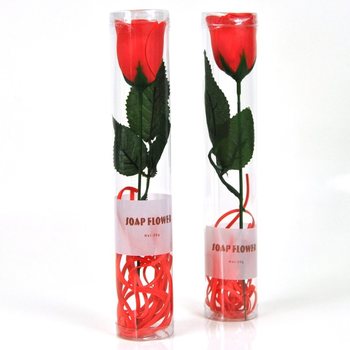 SEEBILILLED (12 tk)