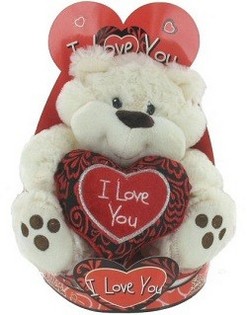 Suur plüüsist karu 'I Love You' (2 tk)