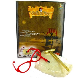 PIRAADI AARDEOTSINGU DELUXE KAEVAMISKOMPLEKT