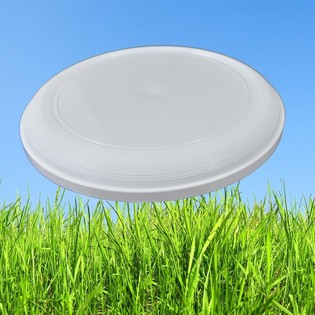 STANDARDNE FRISBEE 21 CM (25 tk)