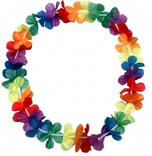 Hawaii p&auml;rjad (48 tk)