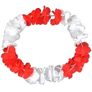 Hawaii lillespiraalid Punane/Valge (50 tk)