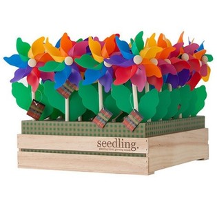 SEEDLING - TUULIKUD ESITLUSKARBIS (20 tk)